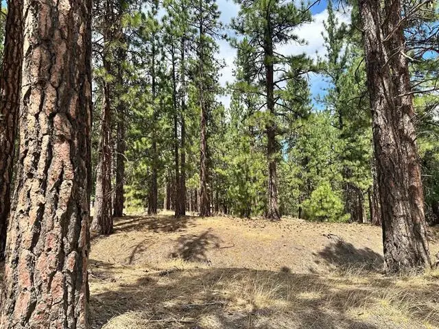 469-425 Childrens Road, Susanville, CA 96130 - #3