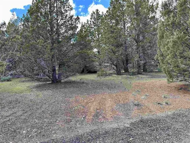 508-995 Stones Road, Susanville, CA 96130 - #1