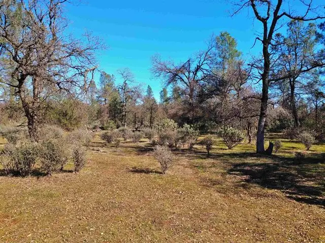 Block 11 Oak Street, Happy Valley, CA 96007 - #1