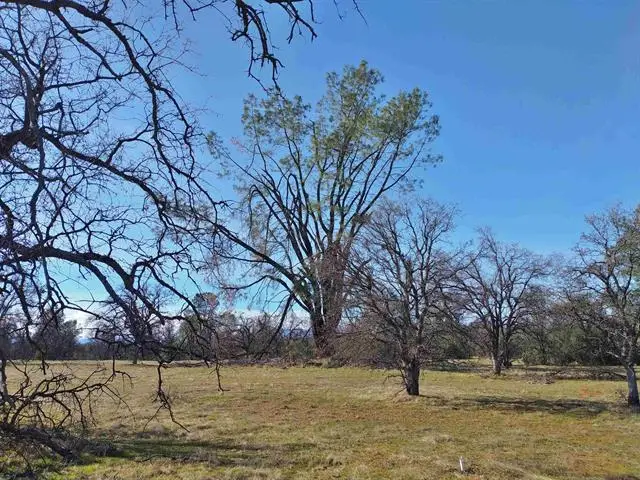 Block 11 Oak Street, Happy Valley, CA 96007 - #3