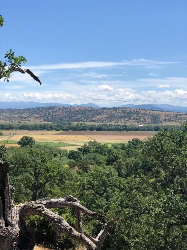 19828 Antelope Creek Drive, Cottonwood, CA 96022 - #1