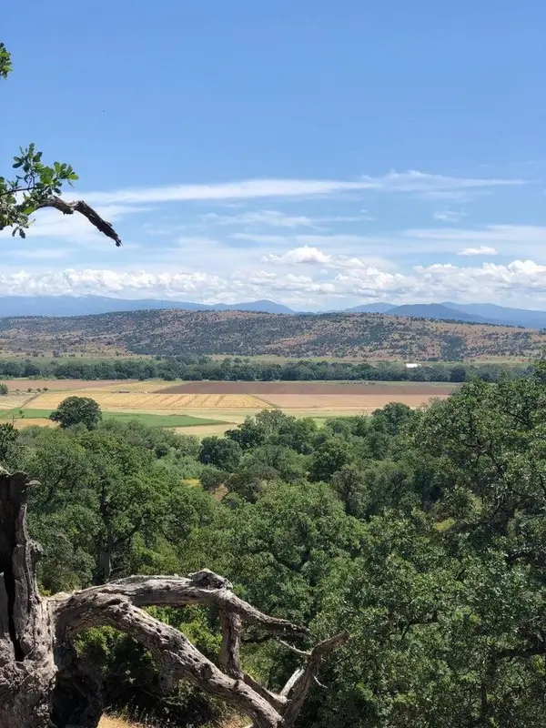 19828 Antelope Creek Drive, Cottonwood, CA 96022