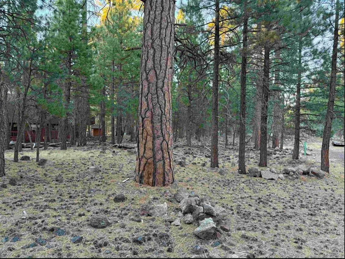 0 Magnolia Way, Susanville, CA 96130 - #1