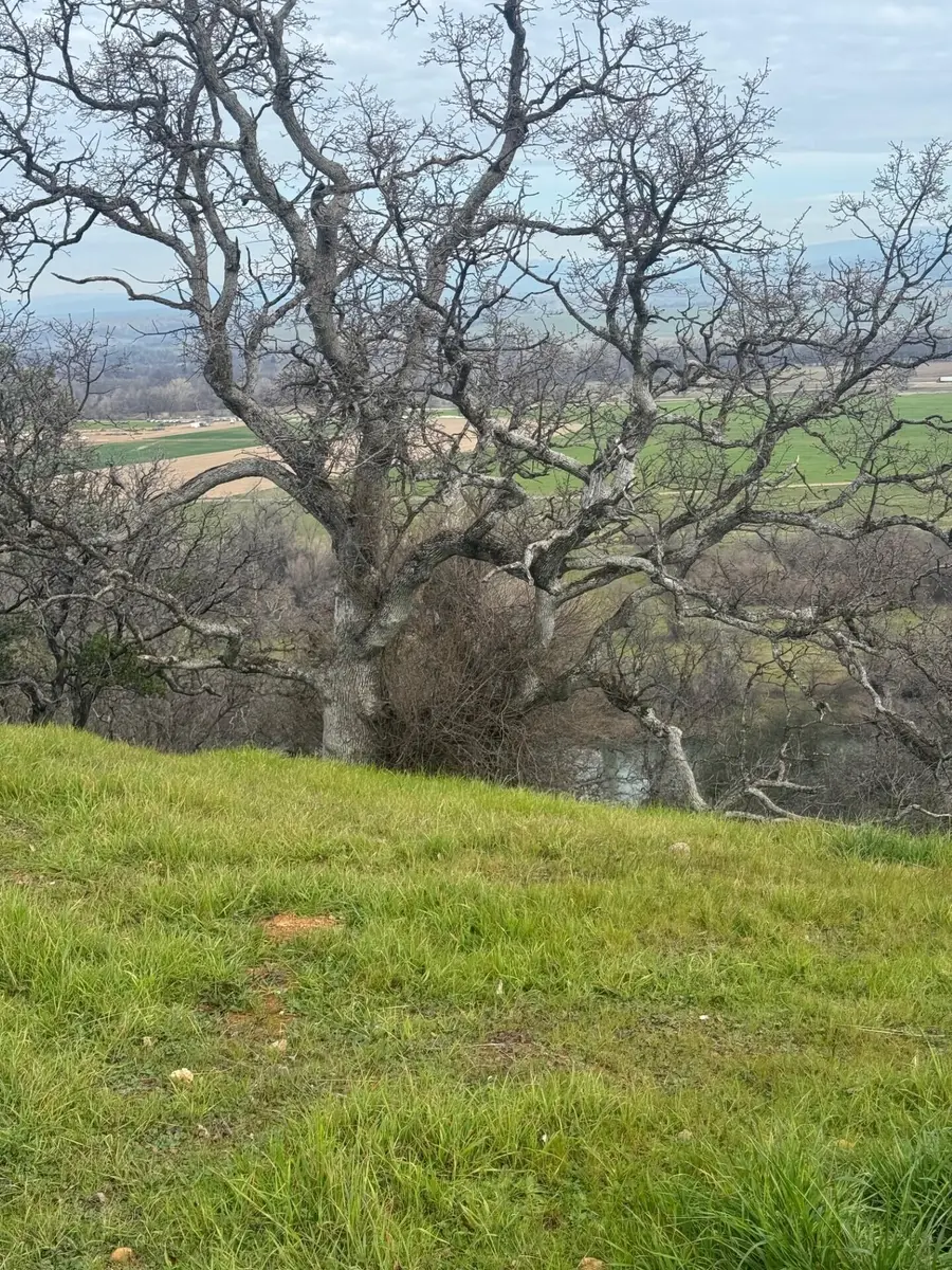 22680 River View Drive, Cottonwood, CA 96022 - #2