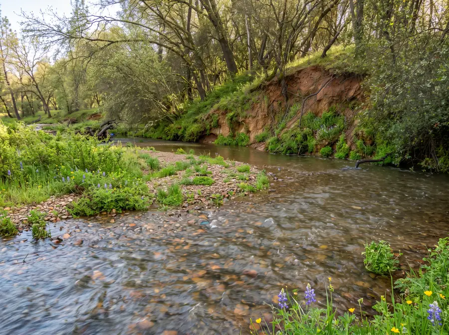 Shire Horse Lane, Cottonwood, CA 96022 - #2