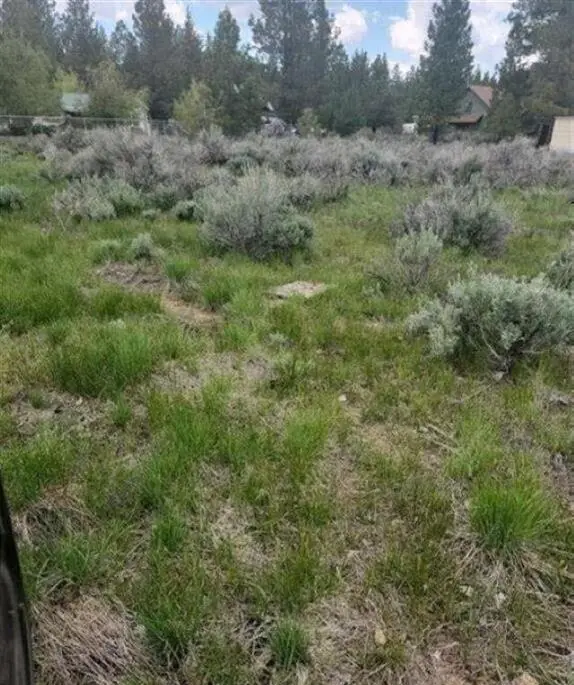000 Mimosa Way, Susanville, CA 96130 - #2