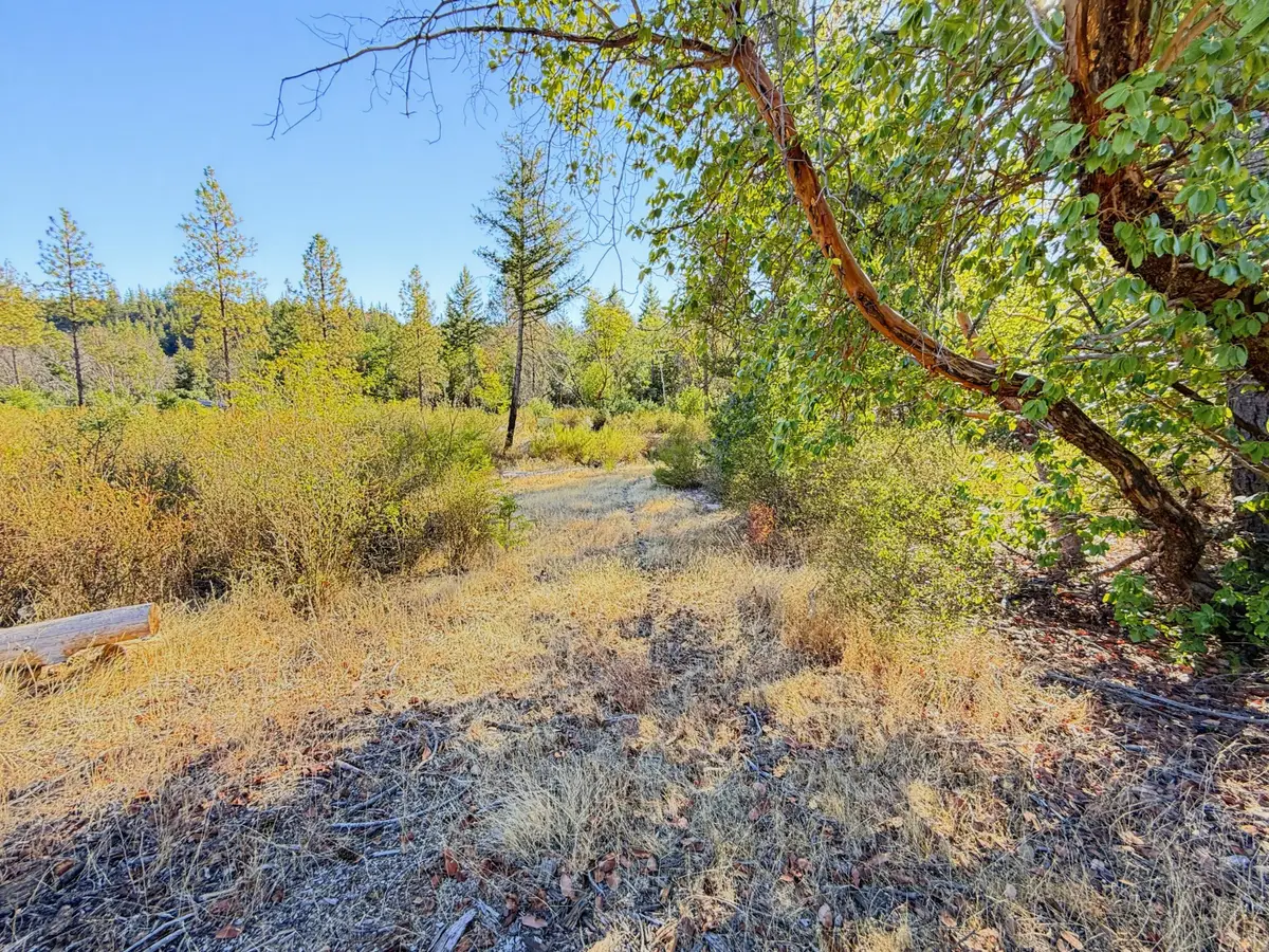 250 Bear Springs Road, Junction City, CA 96048 - #1