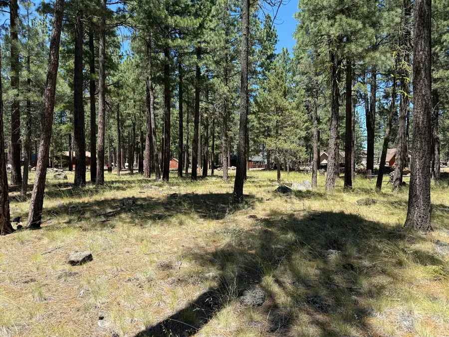Willow Way, Susanville, CA 96130 - #2