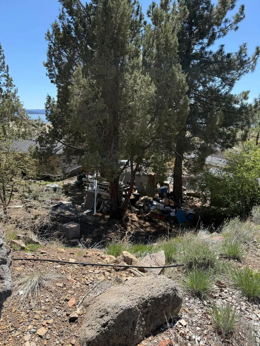 Bucks Point Road, Susanville, CA 96130 - #3