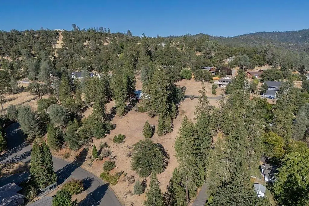 295 N Manzanita Drive, Weaverville, CA 96093 - #1