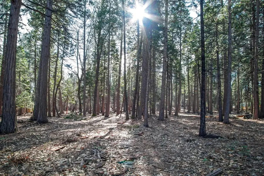 Woodridge Drive, Shingletown, CA 96088 - Image #2