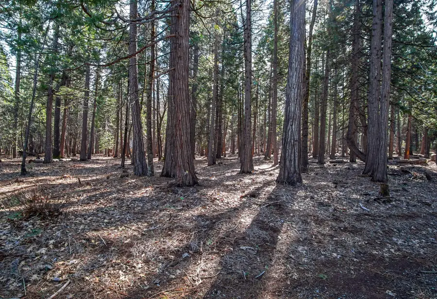 Woodridge Drive, Shingletown, CA 96088 - Image #3