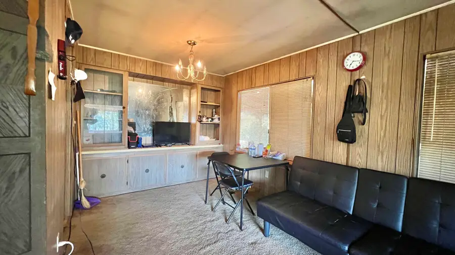 441 Pelletreau Ridge Road, Hyampom, CA 96046 - #3