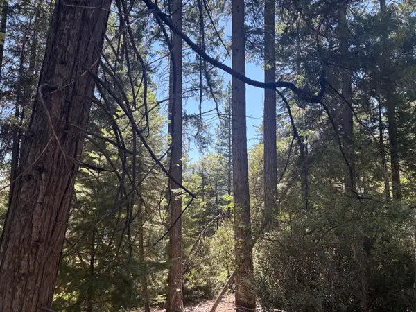 Castle Lake Road, Douglas City, CA 96067