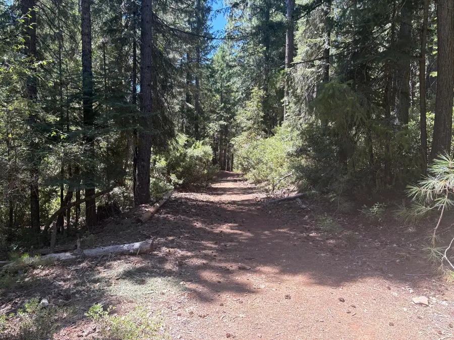 Castle Lake Road, Douglas City, CA 96067 - #3