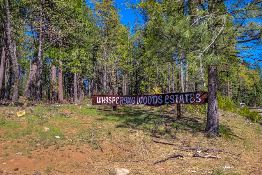 Lot 1 Emigrant Trail, Shingletown, CA 96088 - #2