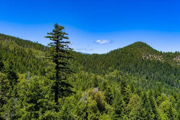 000 Forest 4n20, Hyampom, CA 96046