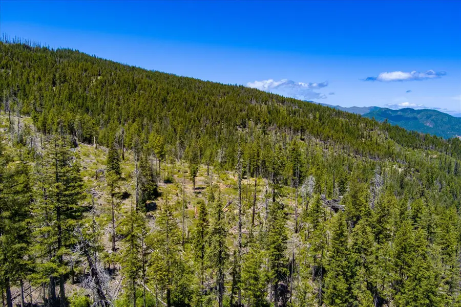 000 Forest 4n20, Hyampom, CA 96046 - #2