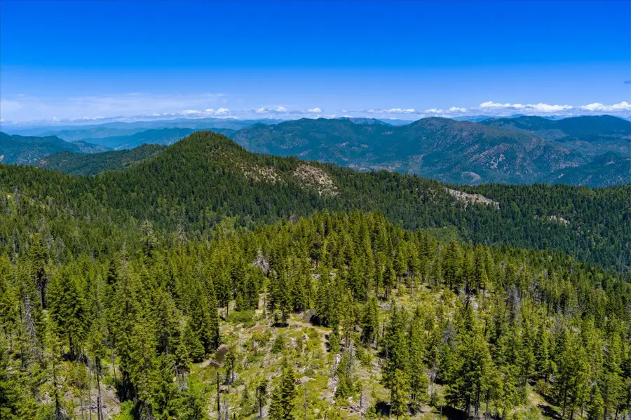 000 Forest 4n20, Hyampom, CA 96046 - #3