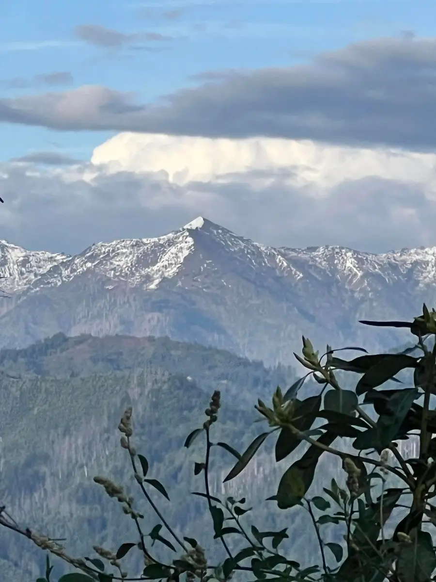 3590 Union Ridge Road, Weaverville, CA 96093 - #2