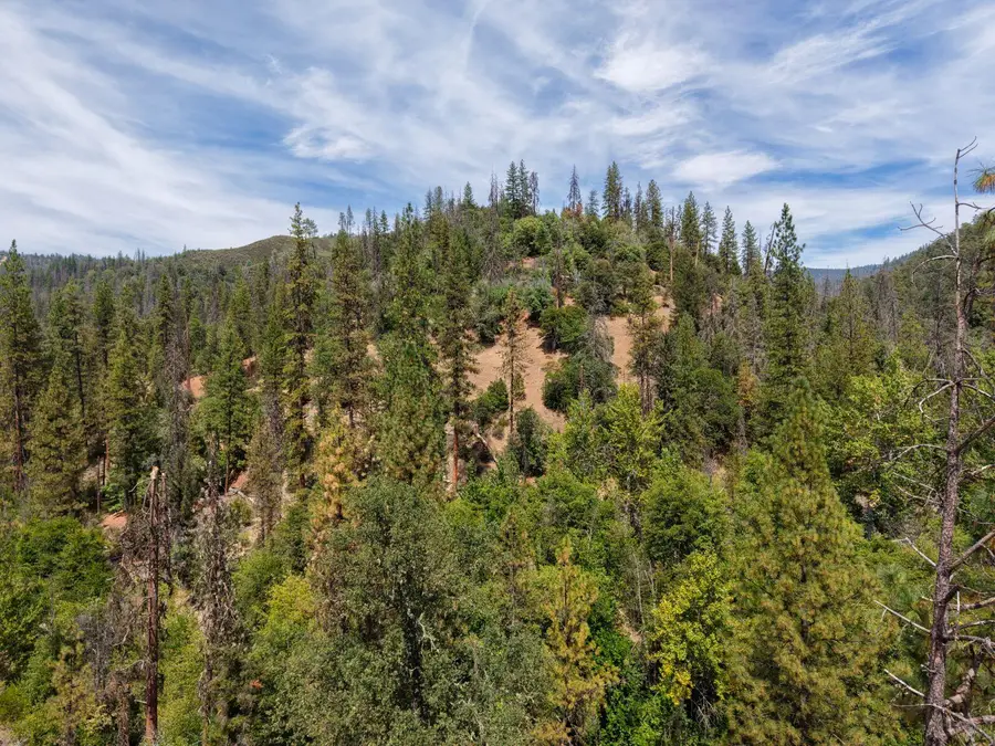 3529 Indian Creek Road, Douglas City, CA 96024 - #2