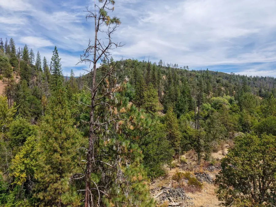 3529 Indian Creek Road, Douglas City, CA 96024 - #3