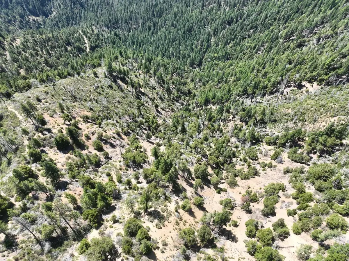 2510 Fs Road, Hyampom, CA 96046 - #1