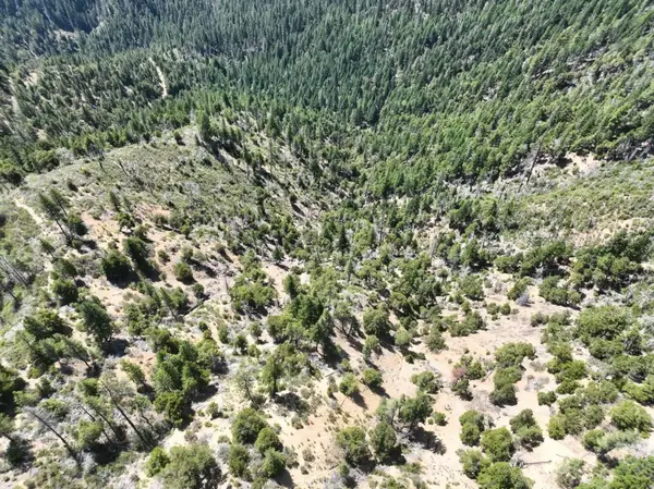 2510 Fs Road, Hyampom, CA 96046
