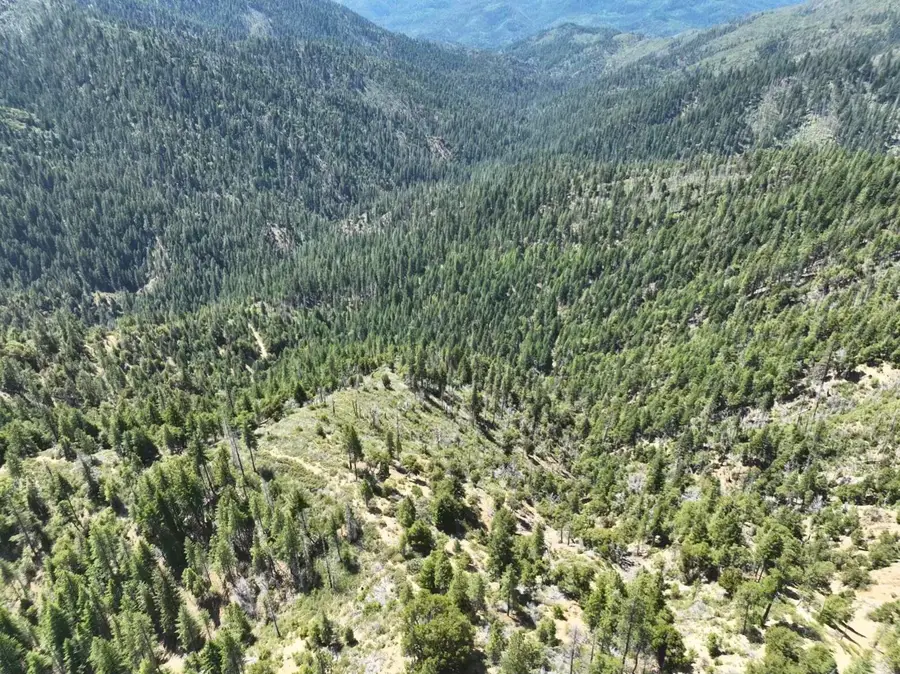 2510 Fs Road, Hyampom, CA 96046 - #2