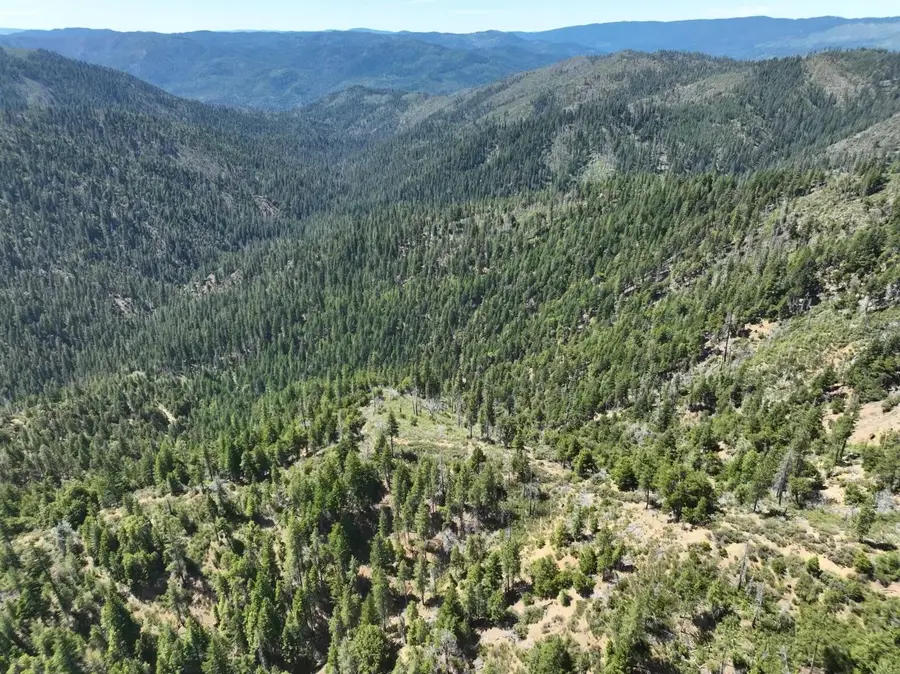 2510 Fs Road, Hyampom, CA 96046 - #3