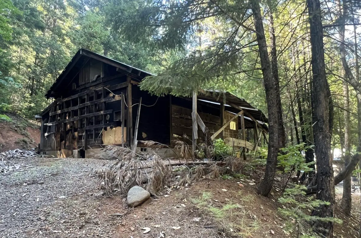 1931 Bear Creek Road, Weaverville, CA 96093 - #1