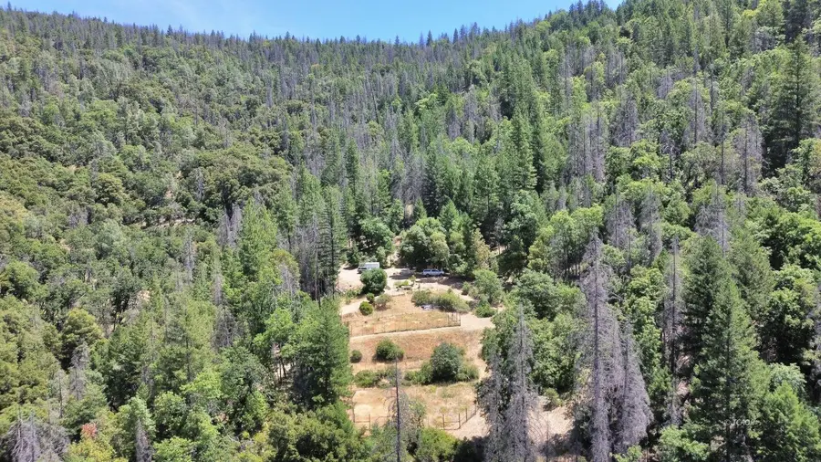 5300 Cabin Gulch Road, Douglas City, CA 96024 - #3