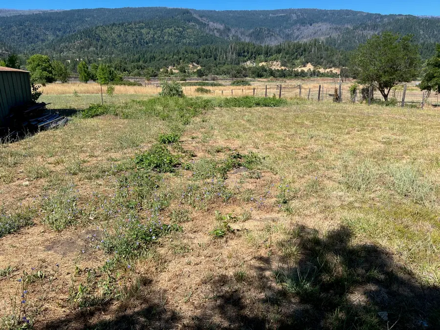 535 Garrett Road, Hyampom, CA 96046 - #3