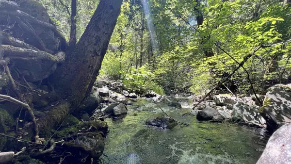1200 E Branch Road, Weaverville, CA 96093