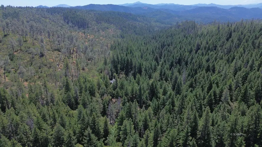 1200 E Branch Road, Weaverville, CA 96093 - #2
