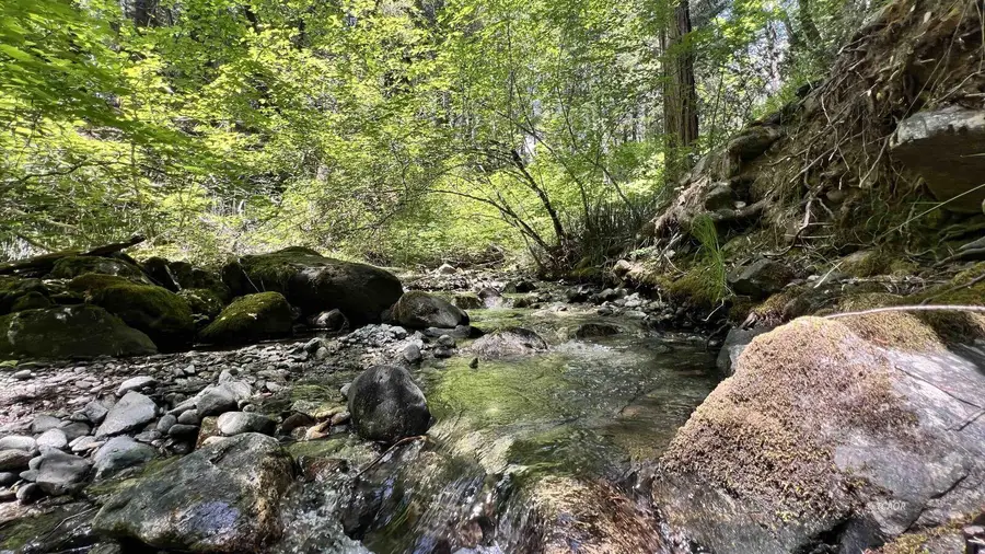1200 E Branch Road, Weaverville, CA 96093 - #3