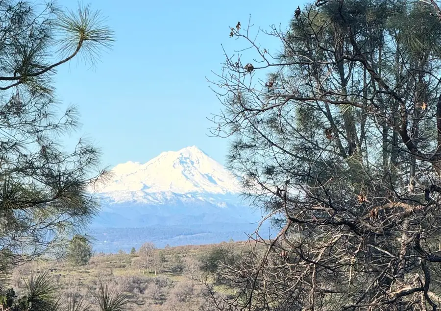 7651 Midway Pines Drive, Shingletown, CA 96088 - #3