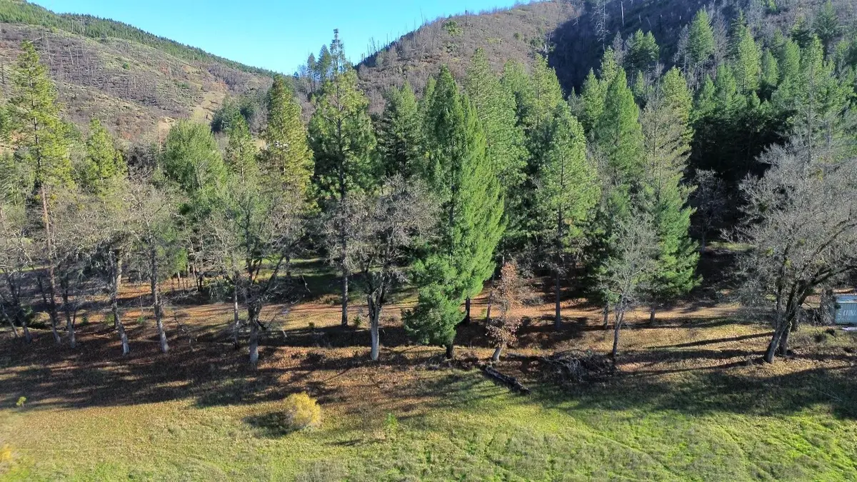 240 Oak Ranch Road, Lewiston, CA 96052 - #1