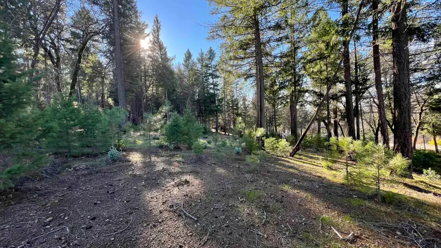 240 Oak Ranch Road, Lewiston, CA 96052 - #2