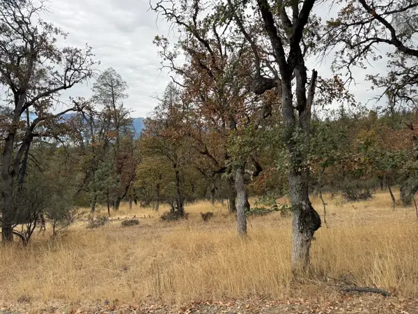 521 Ransom Road, Weaverville, CA 96093