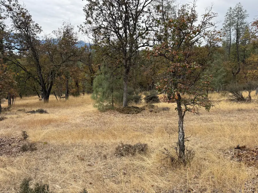 521 Ransom Road, Weaverville, CA 96093 - #2