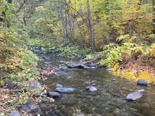4990 Indian Creek Road, Douglas City, CA 96024 - #2