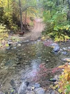 4990 Indian Creek Road, Douglas City, CA 96024 - #3