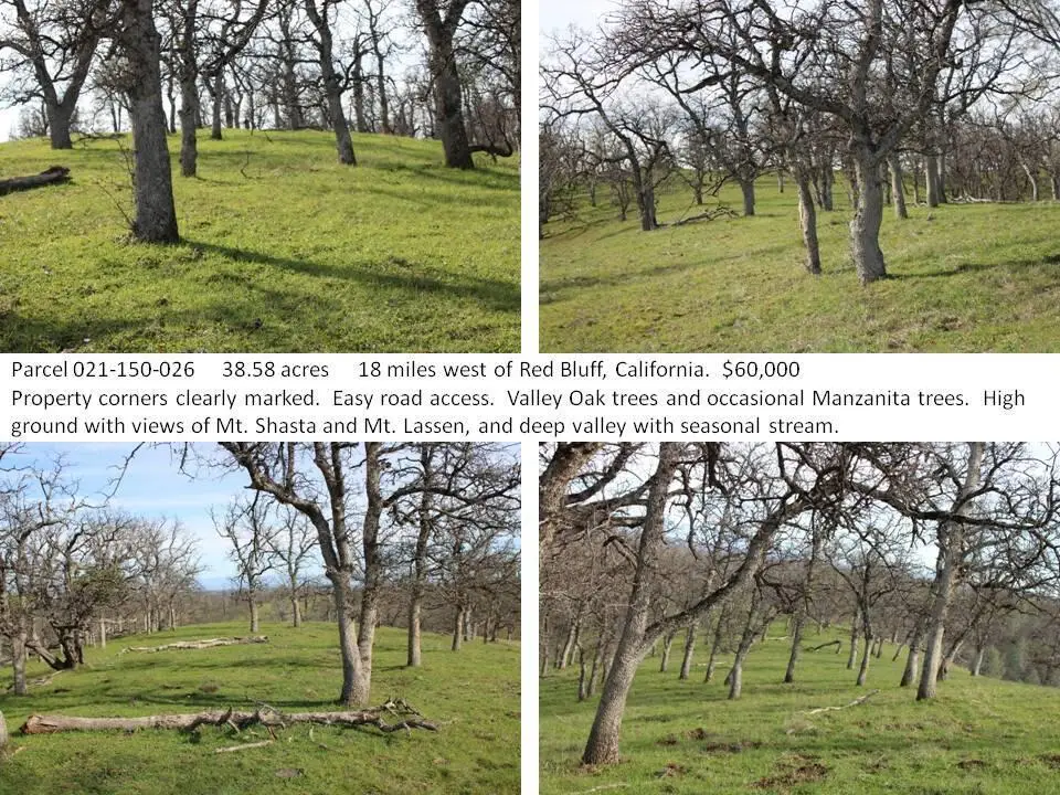 11500 Cool Spring Court, Red Bluff, CA 96080 - #1