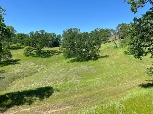 Deer Crest Trail, Cottonwood, CA 96022