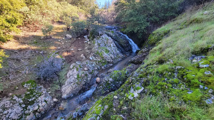 000 Backbone Road, Bella Vista, CA 96008 - Image #3