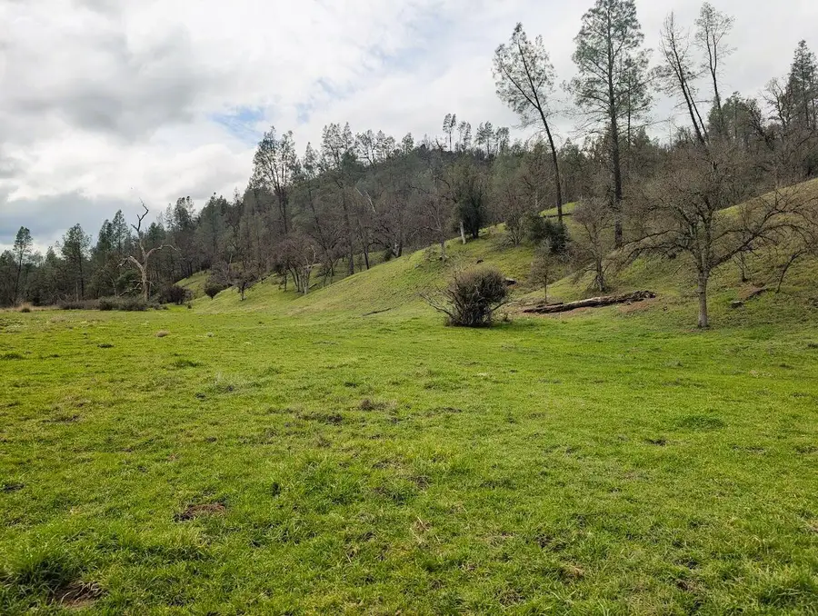 00 Red Bank Rd, Red Bluff, CA 96080 - #3