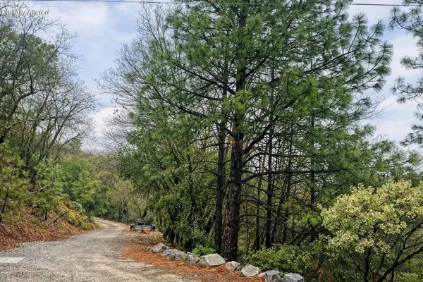 00 Pumice Street, Lakehead, CA 96051