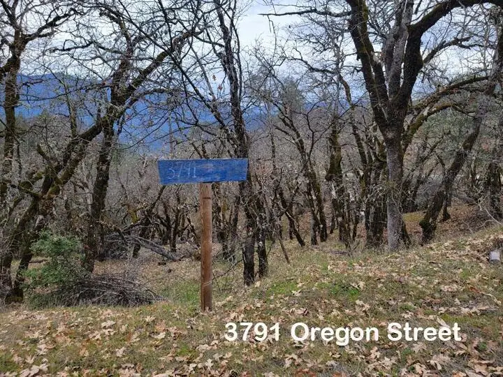 3791 Oregon Street, Weaverville, CA 96093 - #1