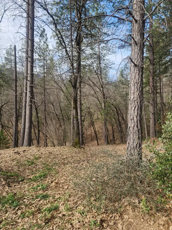 Lot 34 Doney Street, Lakehead, CA 96051